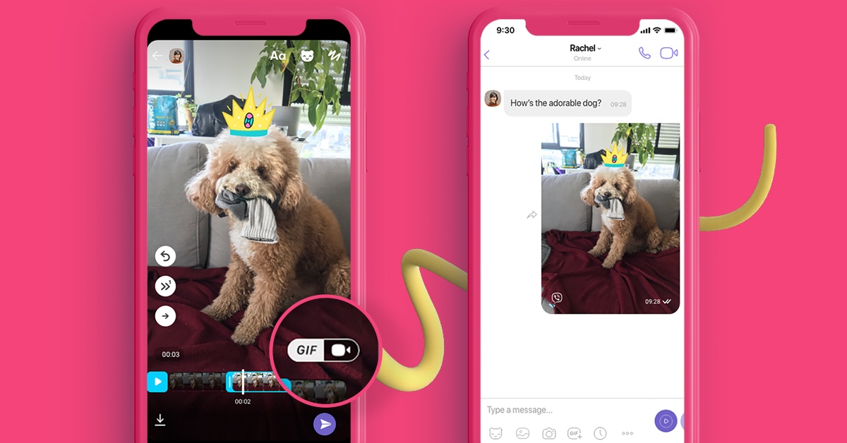 Loop it or Reverse it: Create Your Own GIF on Viber | Viber