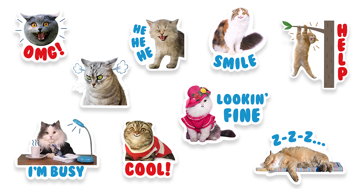 International Cat Day Best Memes Twitter Reactions Heavy Com