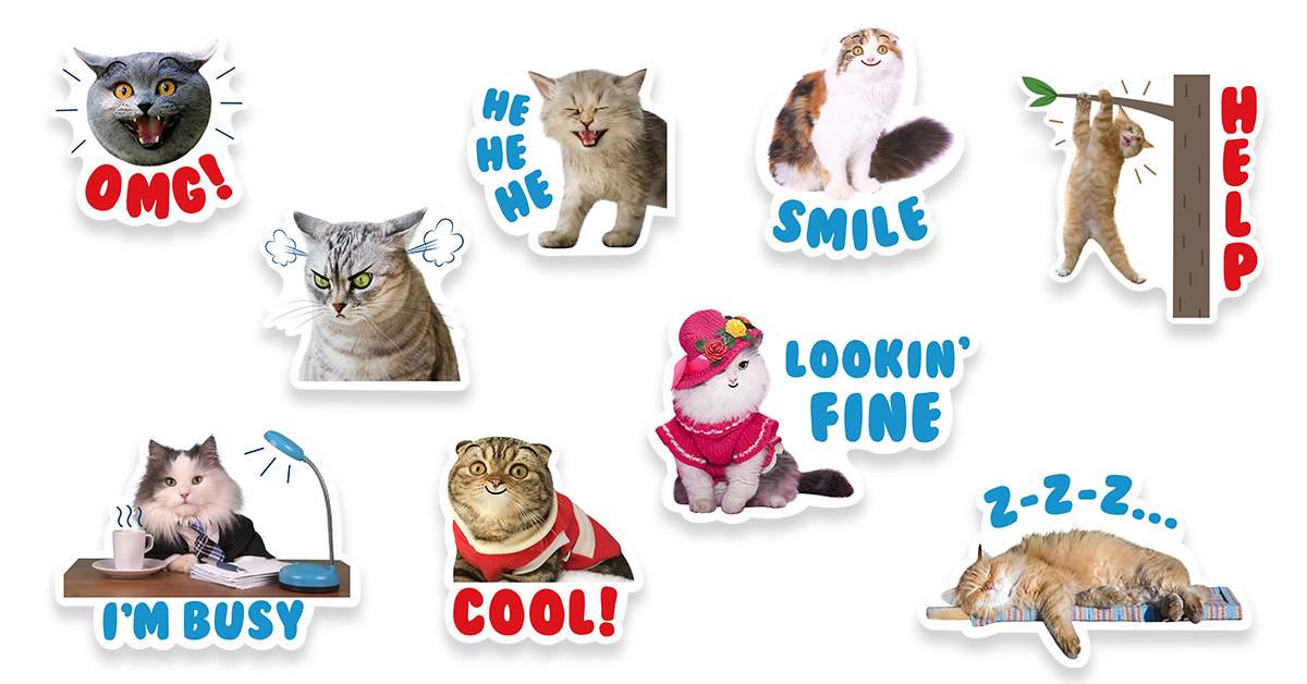 International cat day- funny cat sticker pack