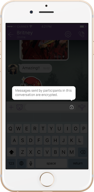 Viber security features